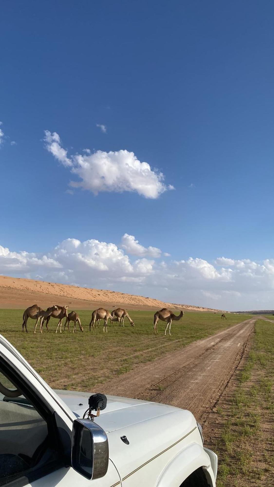 Dome Private Camp 1 Al Raka